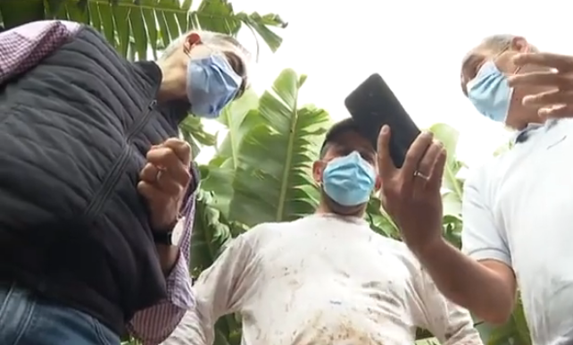 Smart Agro La Palma: innovación en el sector agrícola