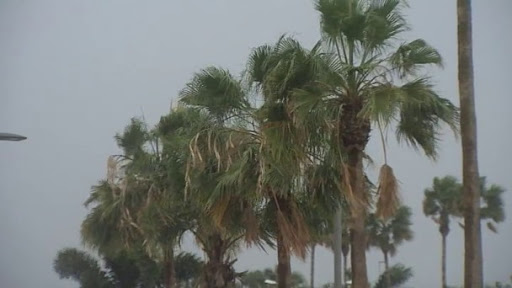El viento protagonista en la capital tinerfeña