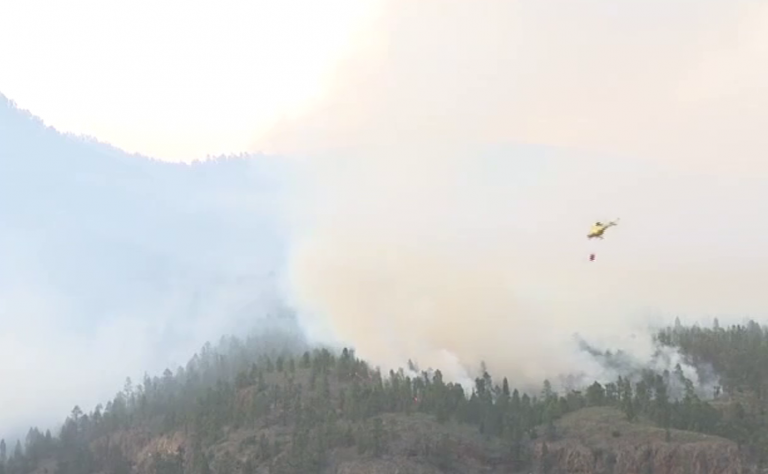 El incendio de Arico, ya estabilizado, puede tardar varios días en extinguirse del todo