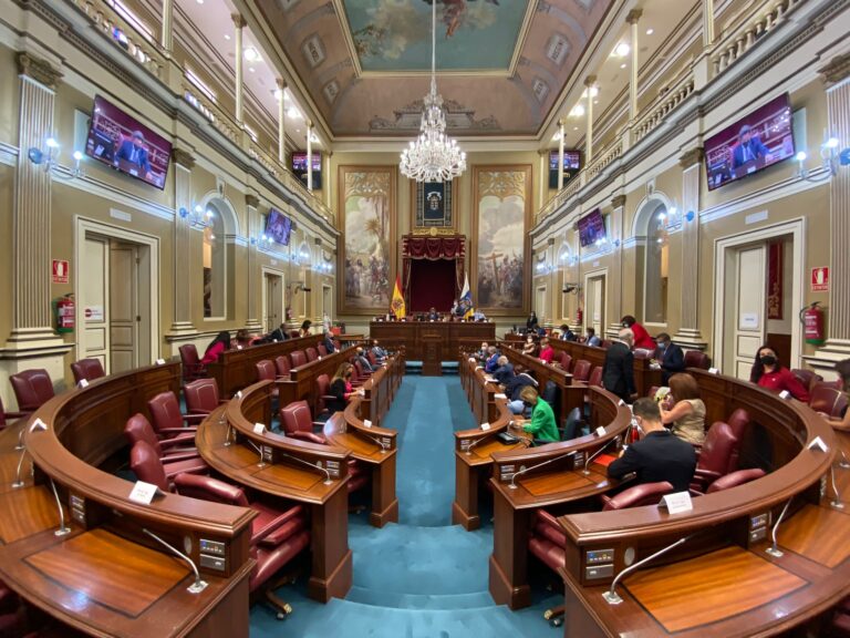 El Parlamento pide garantizar la atención a los huérfanos de la violencia machista