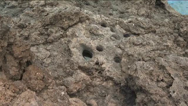 Las cazoletas prehispánicas, un misterio por descubrir