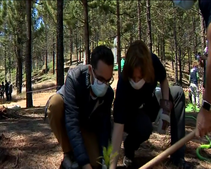 Foresta, RTVC y Mojo de Caña celebran el día del Medio Ambiente con una replantación en Valleseco