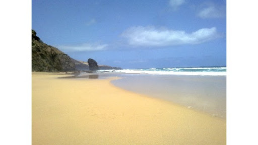 El Cabildo de Fuerteventura destaca que el interés de Alemania por los viajes a la isla «supera al de 2019»