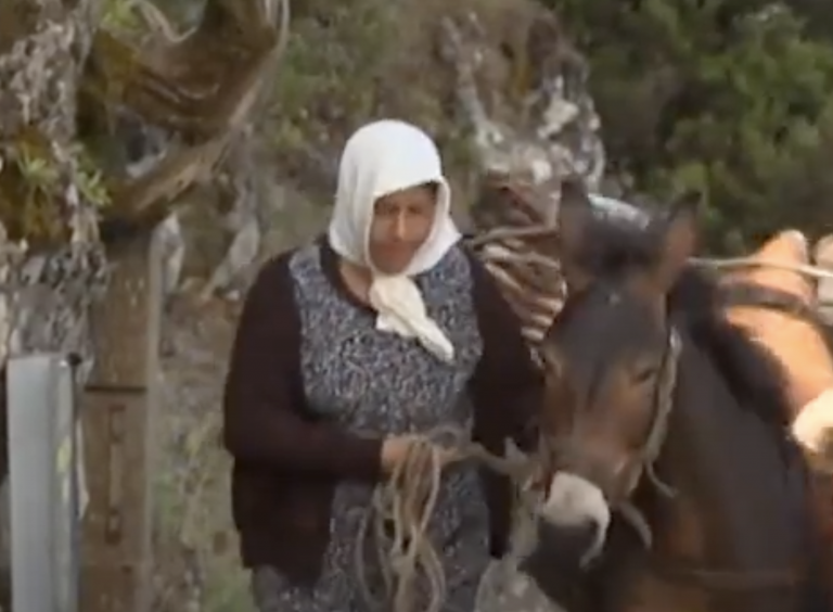 La mudada, una trashumancia herreña con historia