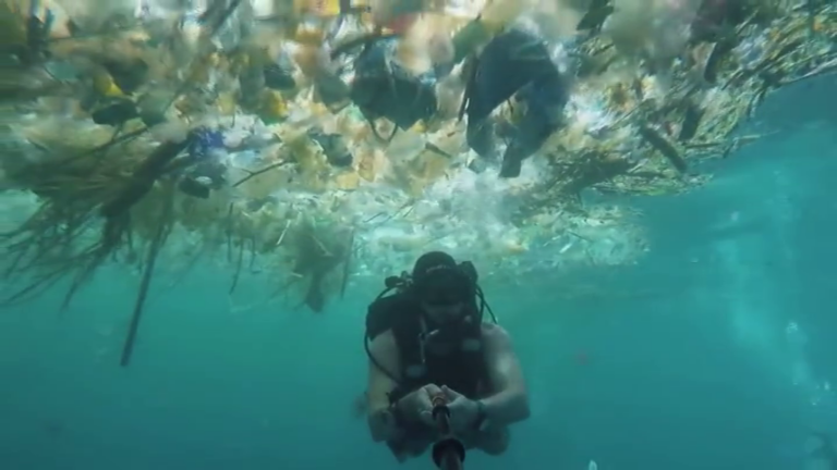 Nace una comunidad que conciencia del daño que hace el plástico a los océanos