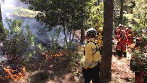 El Gobierno activa de cara al verano sus medios contraincendios en Canarias