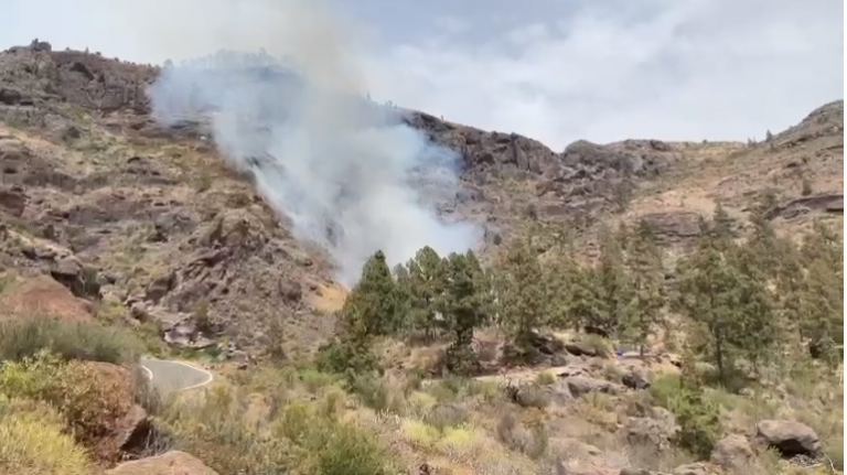Estabilizado el incendio forestal cerca de la Presa del Mulato en Mogán