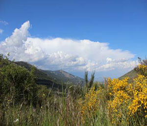 Una primavera cálida y muy seca dará paso a un verano cálido y seco