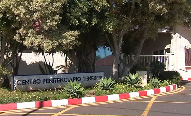 Una unidad canina para detectar drogas en Tenerife II