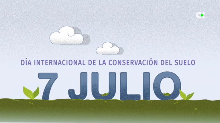 El suelo, soporte de toda forma de vida en el planeta