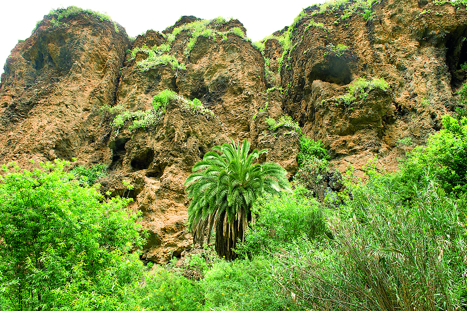 Martes negro en Canarias con tres rescates críticos en senderos y costas de las islas