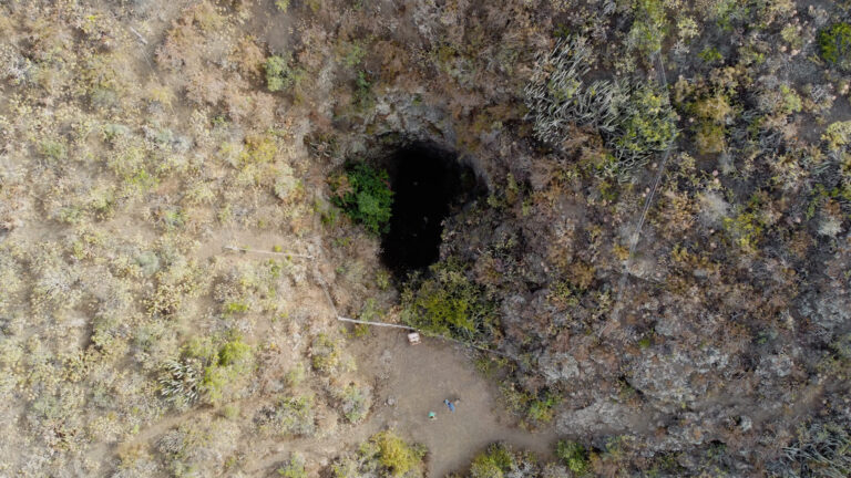 Los matices de la memoria histórica canaria, en ‘Trópico Distópico’