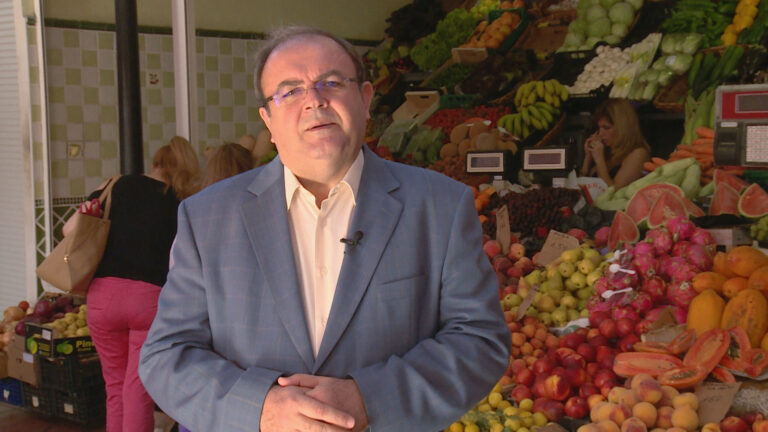 Canarios de campo y mar