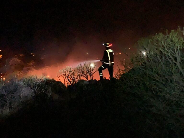 Perimetrado y controlado el incendio de La Palma