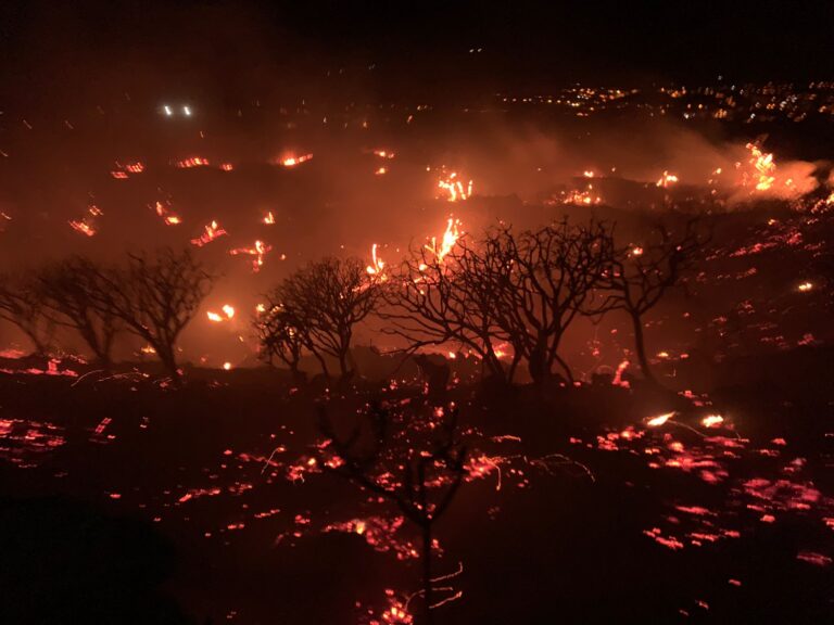 Continúa la lucha para controlar el incendio de El Paso