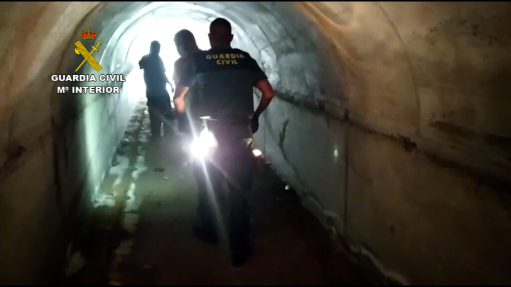 Investigado por delitos de maltrato y abandono a una perra en La Palma