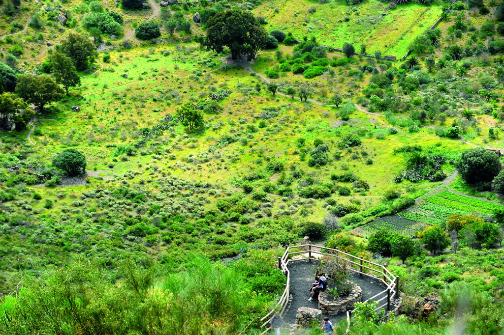 Caldera de Bandama 1