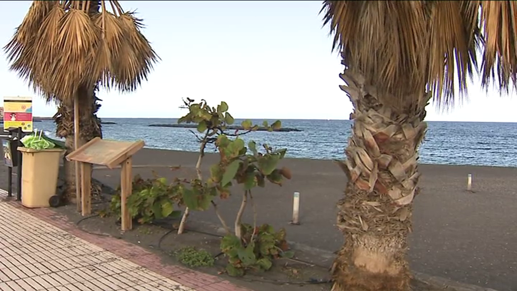 Fallece ahogado un hombre de 86 años en una playa de Güímar