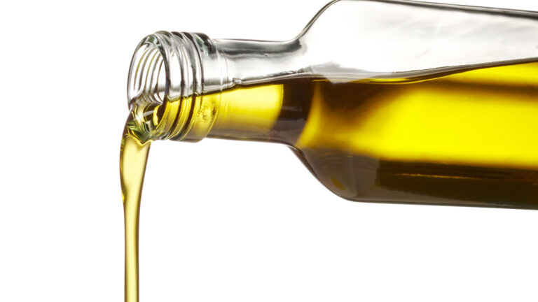 La almazara del Cabildo de Fuerteventura prevé llegar a 13.000 litros de aceite en la campaña de recogida de aceituna