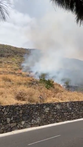 Declarados dos conatos en el Parque Las Mesas y en Los Campitos en Tenerife