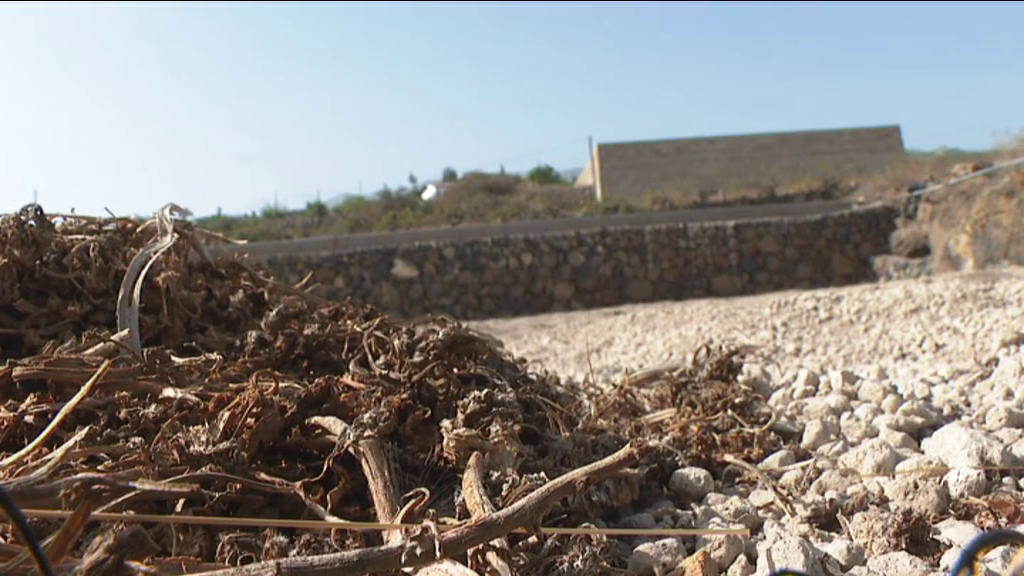 Matemáticas para proteger los cultivos del calor del verano