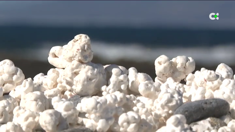 La Oliva anima a los visitantes a conservar los rodolitos