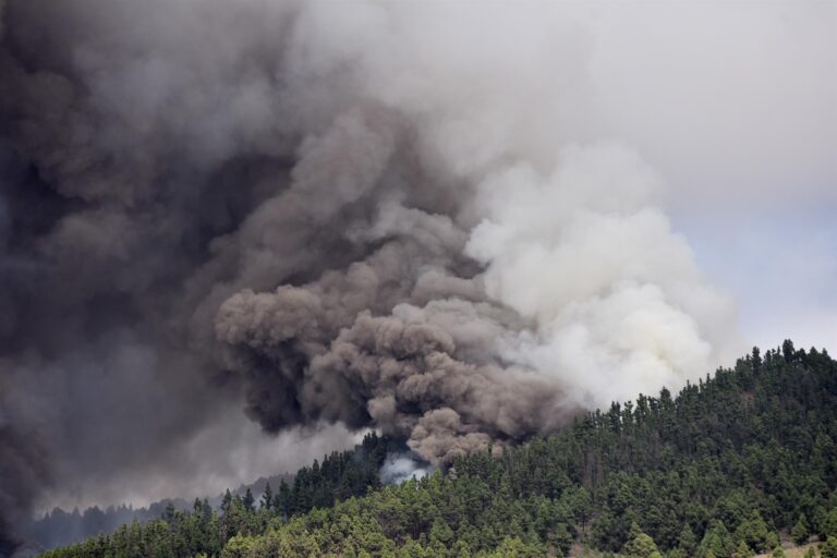 Preocupación por la afección del volcán sobre los viñedos con Denominación de Origen Vinos de La Palma