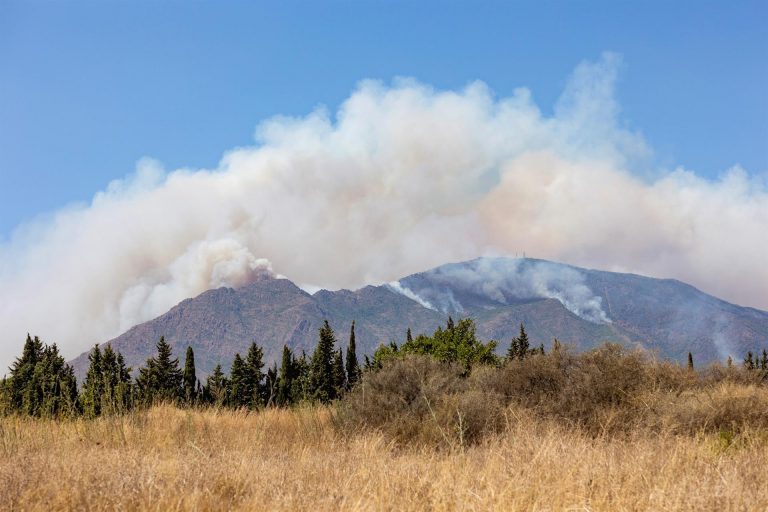 Medios aéreos reanudan la lucha en el fuego de Málaga que quemó 7.400 hectáreas