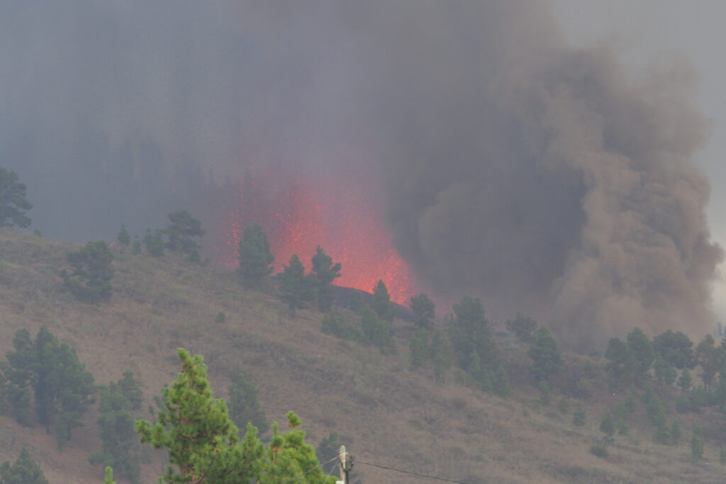 Preocupación por la afección del volcán sobre los viñedos con Denominación de Origen Vinos de La Palma 
