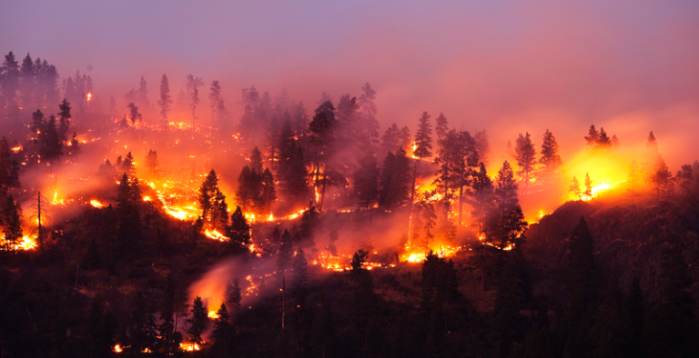 Más de 400 desalojados por el incendio forestal de Sierra Bermeja en Málaga