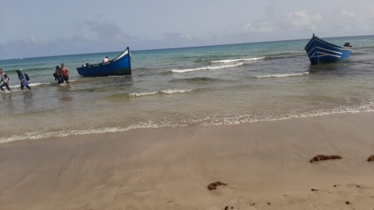 La Ruta Canaria se ha cobrado la vida de 785 personas en lo que va de año