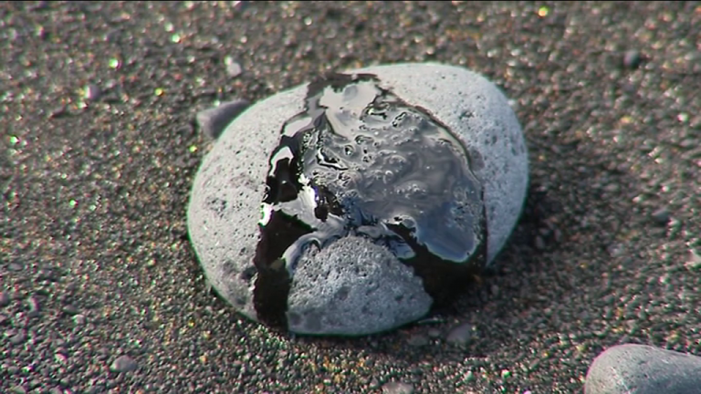 Hallan más restos de piche en las playas de Las Teresitas y Las Gaviotas (Tenerife)