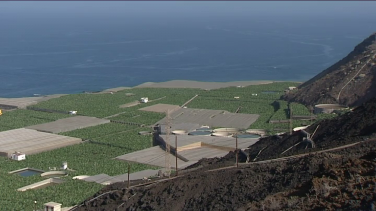 Los agricultores de la costa oeste de La Palma piden más agua de riego