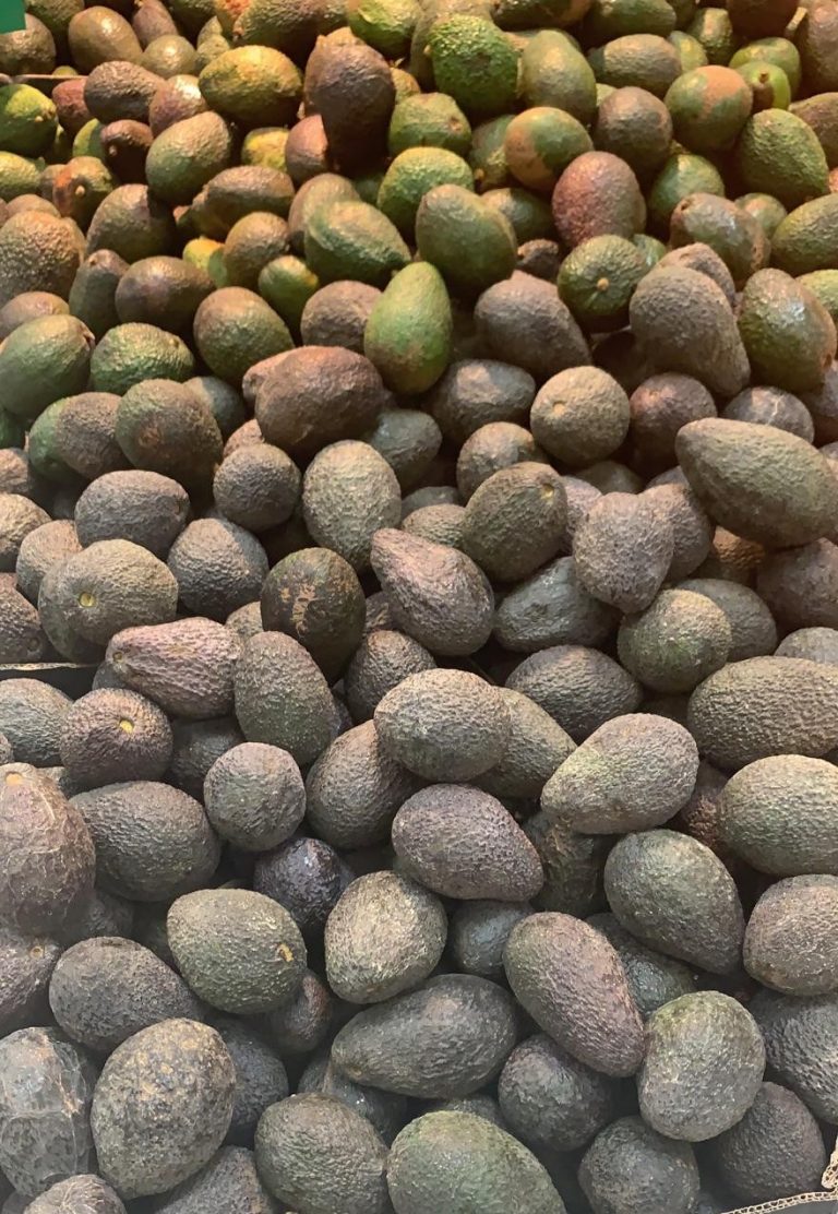 Intervienen de forma cautelar 440 kilos de aguacates en Tenerife