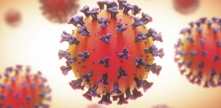 Descubren cómo el virus SARS-CoV-2 se comunica con las células humanas
