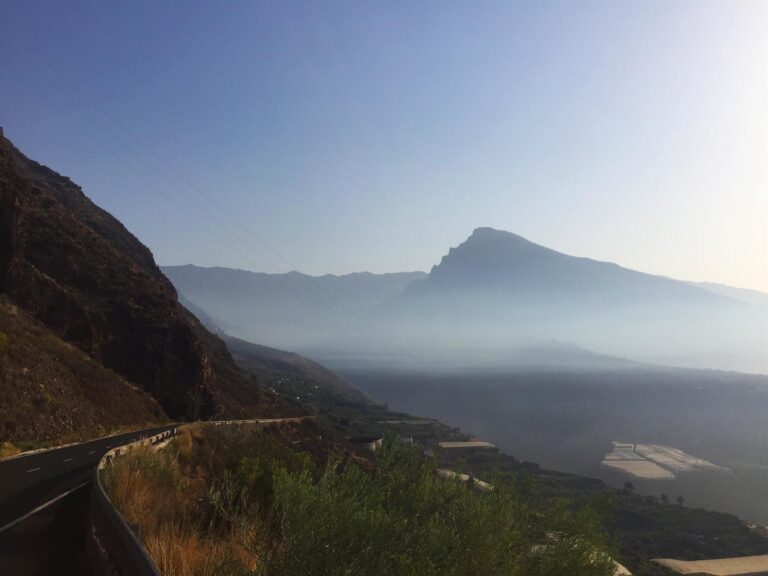 El BOE publica las medidas de apoyo a la actividad agraria de La Palma