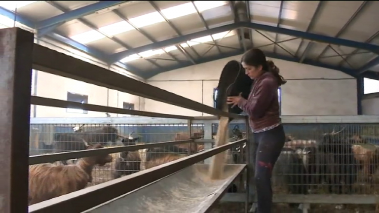 La mujer rural de La Palma convive con la fuerza natural que amenaza su sustento