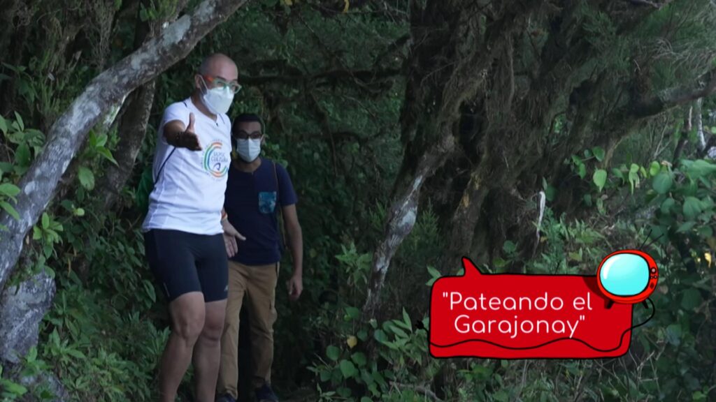 Los periodistas de RTVC, Kiko Barroso y Victorio Pérez, recorren con 'Noveleros' el Parque Nacional de Garajonay, La Gomera.