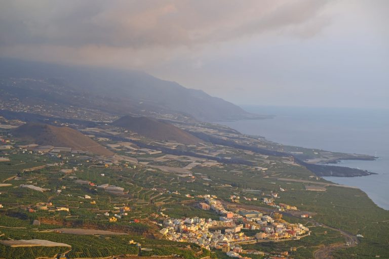 La Palma recuperará el 90% de producción platanera en dos años