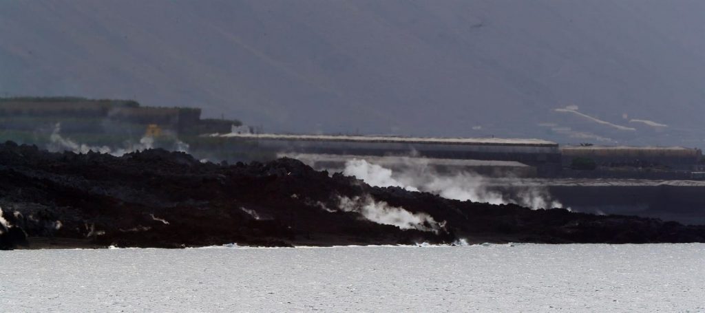 Graban las primeras imágenes submarinas de la fajana