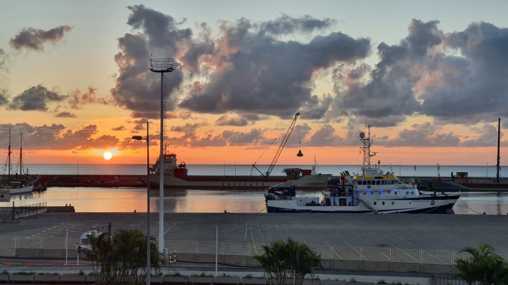 Ángeles Alvariño estudiará el volcán Tagoro en El Hierro y la erupción en La Palma