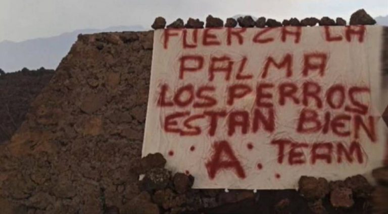 Animalistas anónimos declaran a Leales.org haber salvado a los podencos del volcán de La Palma