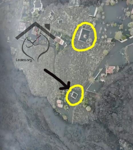 Desde la dirección del Pevolca se aclaró este jueves que no están al tanto del posible rescate de los perros una vez se dio autorización a la empresa para acometer el rescate