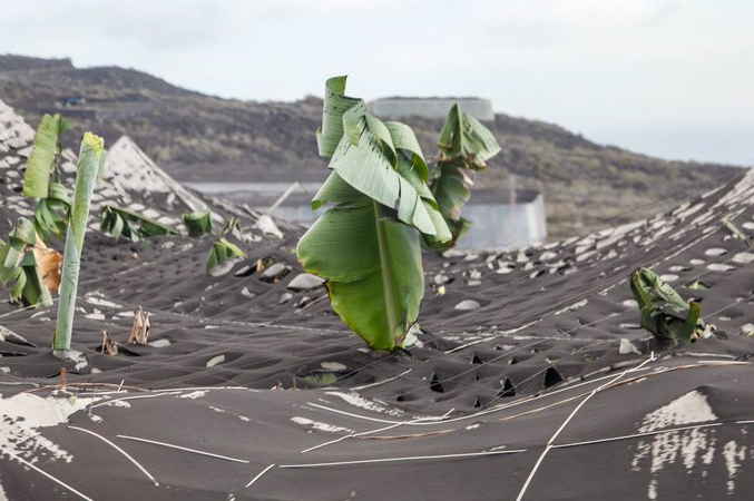 Los afectados por el volcán piden que se agilicen las ayudas