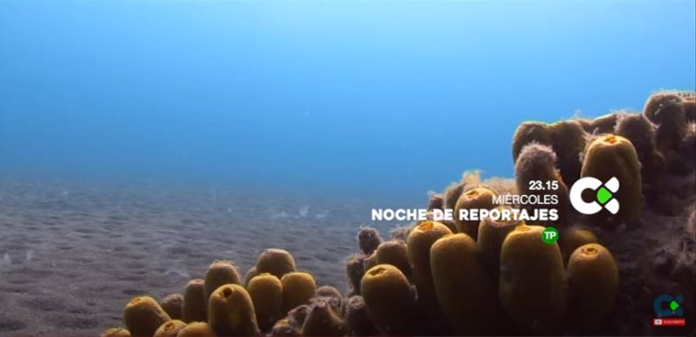 El cambio climático en Canarias, en ‘Noche de reportajes’