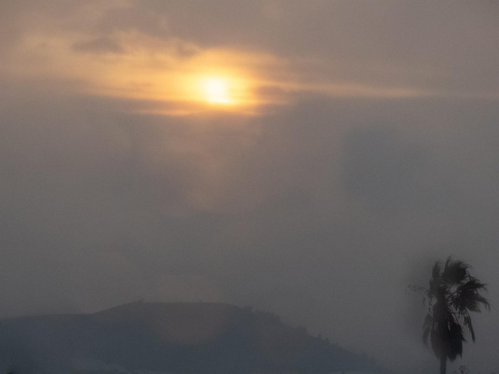 Los Llanos de Aridane comienza a repartir las donaciones entre sus vecinos