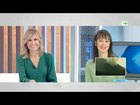 Campaña «Somos Saludables»