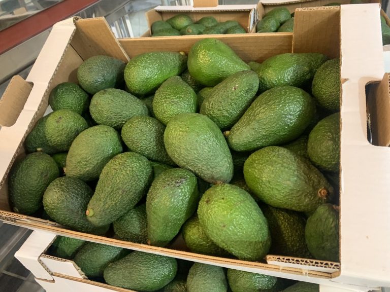 Agricultores palmeros recorren las Islas vendiendo aguacates y plátanos