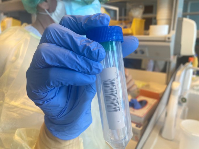 Canarias registra siete fallecimientos y 968 casos de COVID 19 en personas de más de 60 años