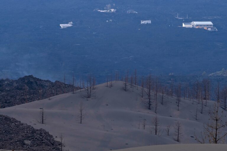 La Palma recibe 3,3 millones para mitigar los daños en la biodiversidad